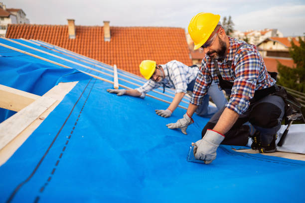 Best Metal Roofing Contractor  in Terra Alta, WV